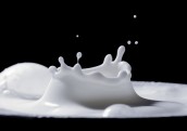 Piena produktus Latvijā ražot vairs nav izdevīgi