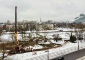 Pārstāda kokus Rīgas panorāmas rata izbūvei