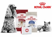  Royal Canin suņu un kaķu barība - ja kvalitāte ir prioritāte 