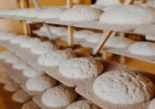 Maizes ceptuves Lielezers apgrozījums pērn palielinājies par 21,5%