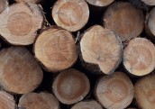 Metsä Group pabeidz koksnes piegādes biznesa pārdošanu Latvijā
