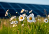 Stelpe saules parks uzsāk zaļās elektroenerģijas ražošanu