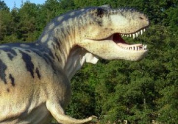 Krāslavas novada domes priekšsēdis: atskaitē uzrakstījām, ka pagastā ir dinozaurs