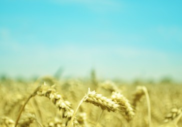 Apcirkņi būšot tukšāki