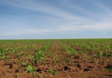 Pārtiku plāno vispār izsvītrot no enerģētikas