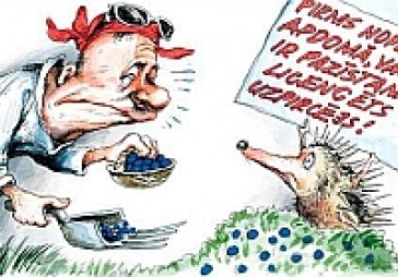 Db viedoklis: Ar īpašu dokumentu pret Latvijas mežos augušu aveni un melleni