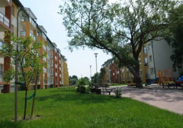 Pamazām plok jauno projektu piedāvājums