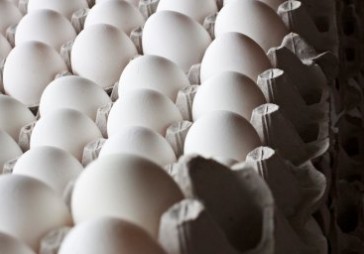 Pat par 40 % var pieaugt olu cenas veikalos