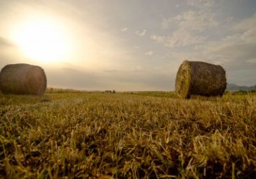 Valdība atbalsta zemes iegādes kreditēšanas programmu