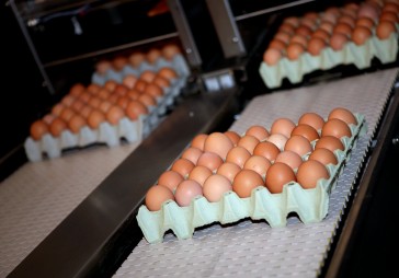 Balticovo attīstībā plāno ieguldīt līdz 45 miljoniem latu