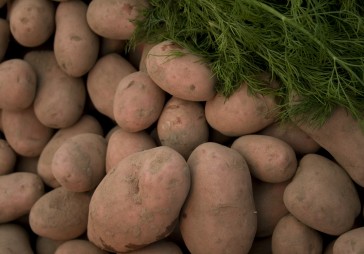 Pārtikas ražotāji neizmanto eksporta potenciālu 