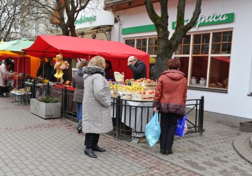 Biznesa vieta: Rosīgā Driksas iela ar Jelgavas gājēju promenādi 