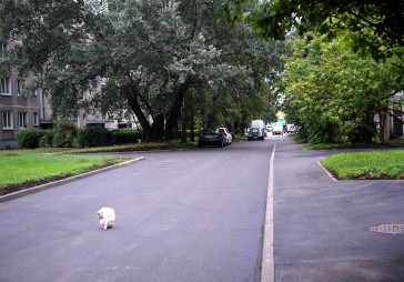 Iespējams, nākotnē namu iekšpagalmos mašīnas novietot nevarēs 