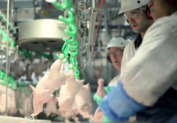 FOTO: Kā ražo McDonald’s vistas gaļas nagetus?
