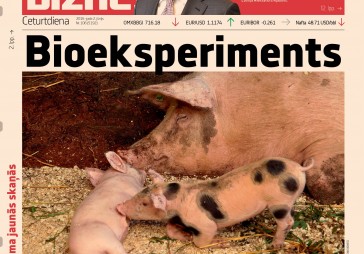 Pievienota galerija - Latvijas Skype cūkkūtī 