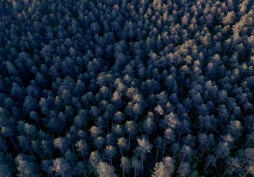 Mežsaimnieki tiek pie jauna cenrāža 
