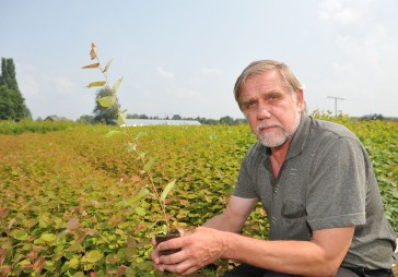Latvijas koku stādi nostiprina pozīcijas Zviedrijā 