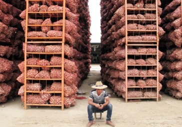 Ķiploku tirgonis: «Es neesmu spekulants. Esmu tikai saprātīgs biznesmenis.»