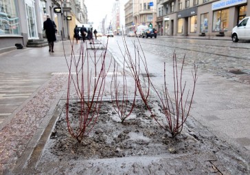 Satiksmes departamenta vadītājs: Problēmas ar Barona ielas segumu radīsies arī turpmāk