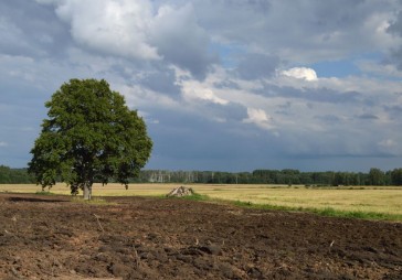 Baltijas ministri: Tiešajiem maksājumiem nākamajā plānošanas periodā beidzot jākļūst taisnīgiem 
