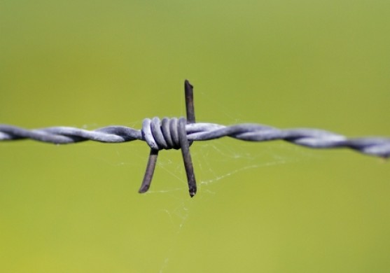 Ventspils Nafta: Tiek pārkāptas ārvalstu investoru tiesības