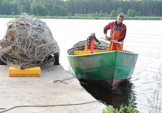Pēdējie mohikāņi Buļļu salā