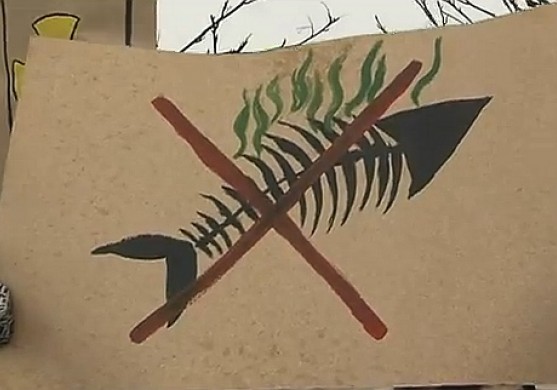 Draud apturēt Alsungas zivju miltu rūpnīcas darbību