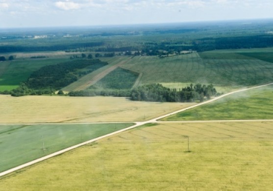 Lauksaimniecības zemes cenas kāpj debesīs
