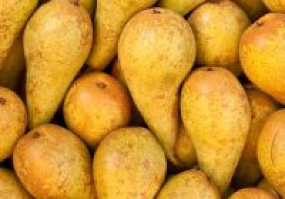 Aldara Somersby sidru nebrūvē Latvijā, arī augļus pie mums neiepērk