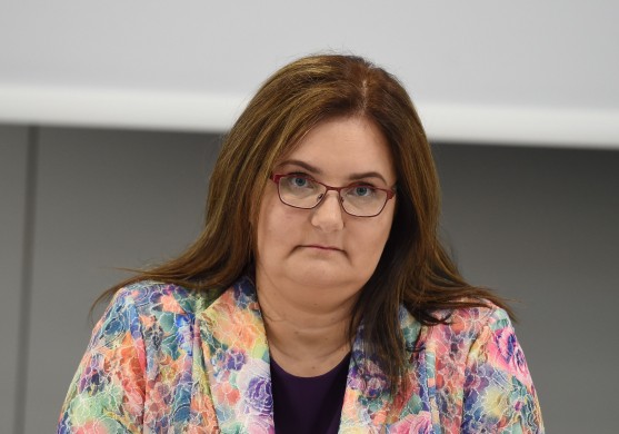 Pelēkā: Atsevišķas personas uz VID pretimnākšanu reaģē ar «smiešanos sejā»