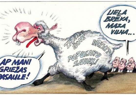 DB karikatūra: Liela brēka, maza vilna 