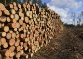 Sadarbosies meža nozares izaicinājumu risināšanā