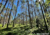 SG Capital Meža Fonds par 4,4 miljoniem eiro iegādāsies ilgtspējīgus meža īpašumus  