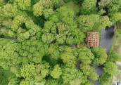 Koksnes tirgum šogad jauni izaicinājumi
