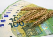 Financial Times: ES noteiks nodevas Krievijas un Baltkrievijas graudu importam