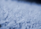 Gaidāmā sniegputeņa dēļ Rīgā ievieš "sniega biļetes"