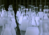 SPKC: Infekcijas uzliesmojuma galvenais avots bija Straupes produkcija