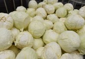 Dimdiņi agro apgrozījums pērn palielinājies par 37,7%